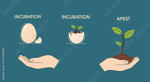 Incubation and Plant Growth Stages with Hand Support