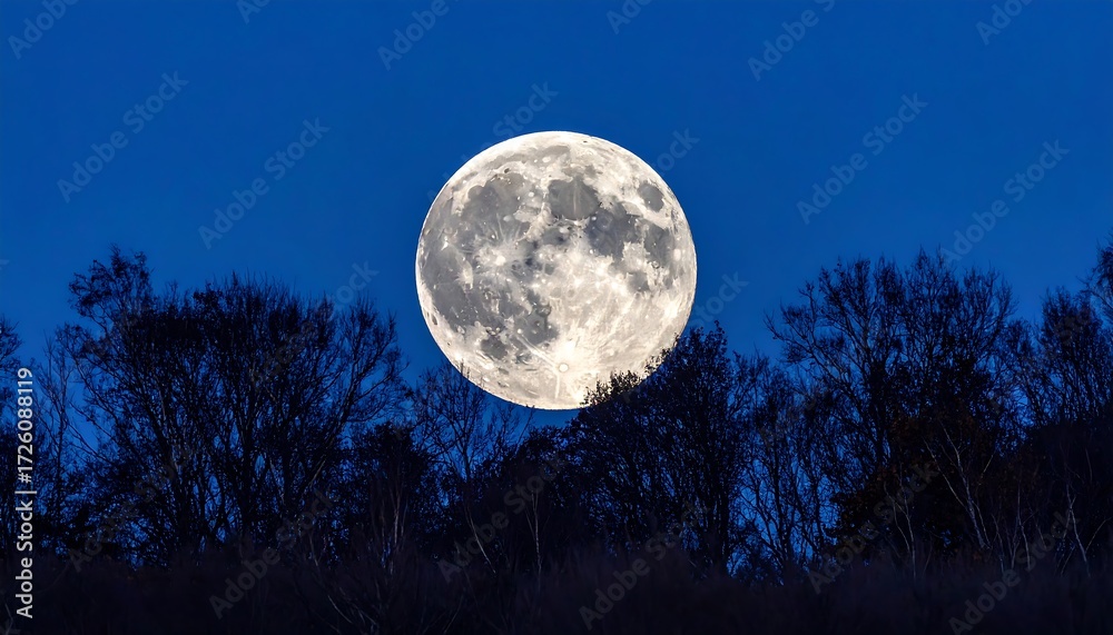 Fototapeta premium Full moon rising above silhouettes of trees