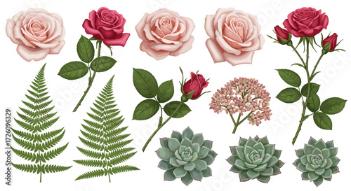 Botanical illustration with roses, ferns, succulents, and berries on white background