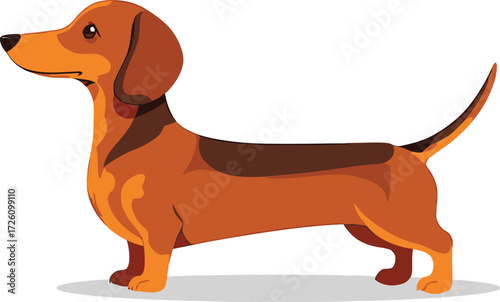 Cute cartoon a illustrator vector Dachshund