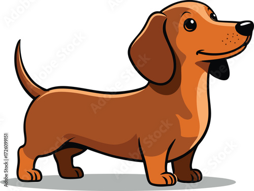 Cute cartoon a illustrator vector Dachshund