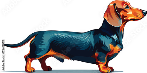 Cute cartoon a illustrator vector Dachshund