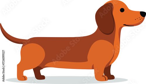 Cute cartoon a illustrator vector Dachshund