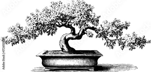 Vintage bonsai tree silhouette in flowering engraving style - ideal for retro design projects