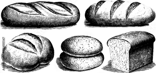 Vintage bread loaves and rolls in classic engraving style for retro culinary design