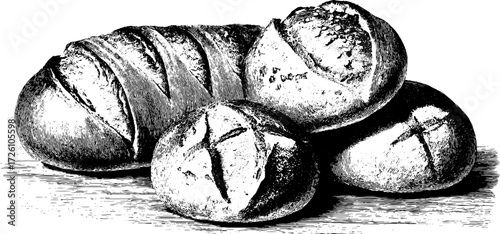 Rustic bread loaves and rolls in vintage engraving style for culinary design
