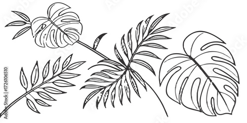 Wallpaper Mural Minimalist Tropical Jungle Leaves Outline Art Pattern Torontodigital.ca