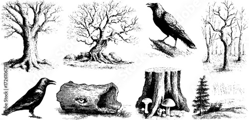 Mysterious dark forest elements with gnarled oaks and wildlife silhouettes