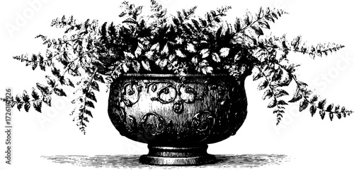 Vintage fern etching in ornate pot - classic botanical art for interior design