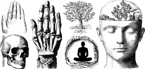 Human symbolic figures in vintage engraving style featuring meditation and nature elements