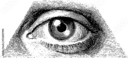 Mystical eye triangle symbol in vintage hand drawn engraving style for retro design