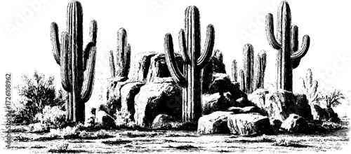 Vintage hand drawn illustration of columnar cactus in desert landscape for retro design