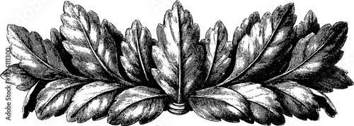 Vintage laurel wreath illustration in engraved style for decorative design