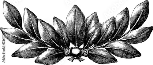 Vintage laurel wreath design for decorative elements and awards