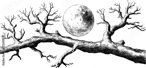Moonlight silhouette through bare tree branches - vintage hand drawn design for posters and cards
