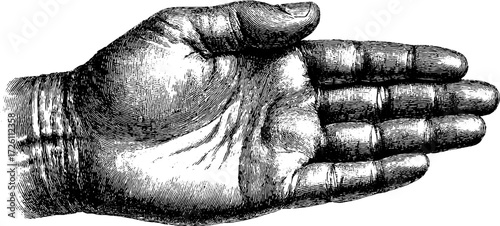 Vintage hand drawn illustration of open palm with line of fate for design