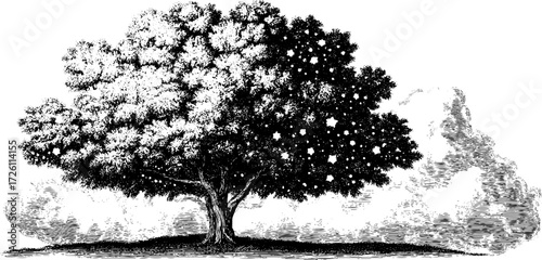 Tree silhouette with starry sky overlay - vintage illustration for art design