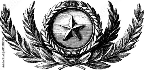 Vintage star emblem with circular wreath for retro design and decoration