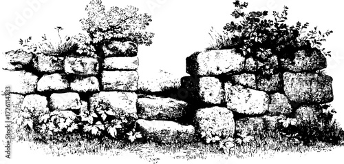 Vintage hand drawn ruins overgrown with grass - engraving style sketch for historical design