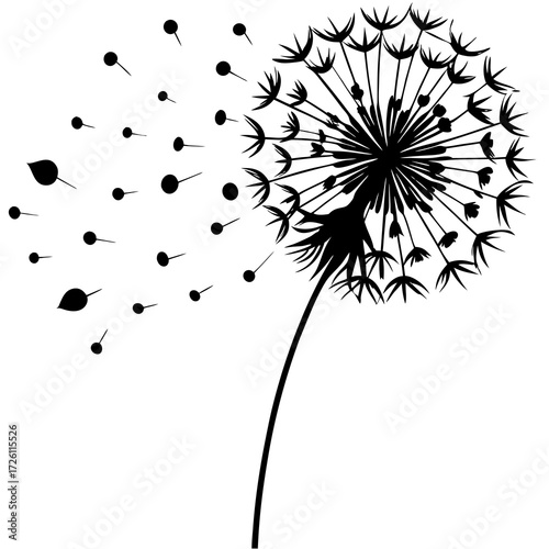 Dandelion Seed Head Silhouette with Floating Seeds on White Background