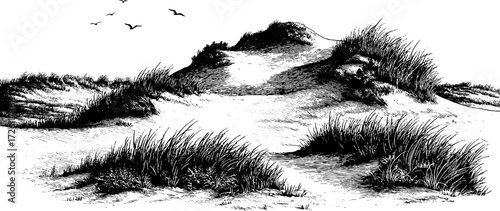 Vintage sketch of sand dunes and ripple marks - hand drawn landscape design