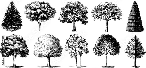 Vintage sketch set of tree silhouettes for design and decoration