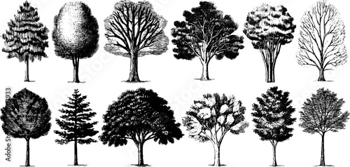 Collection of vintage tree silhouettes for retro designs and nature themes