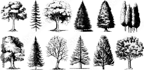 Collection of vintage tree silhouettes for design and art projects
