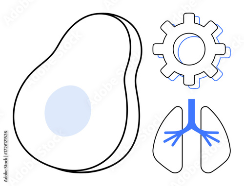 Avocado shape, gear symbol, and lungs icon in flat design style. Ideal for concepts thumbs up health, nutrition, innovation, anatomy, science environment and biotechnology. Clean simple flat