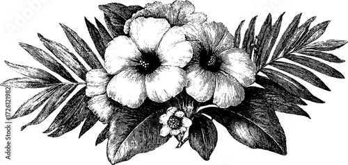 Tropical flowers botanical engraving for vintage design and decoration