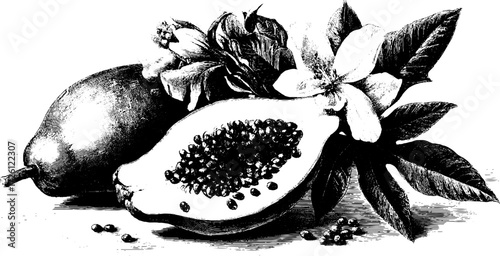 Vintage tropical fruits with papaya and blossoms hand drawn engraving for retro design and print