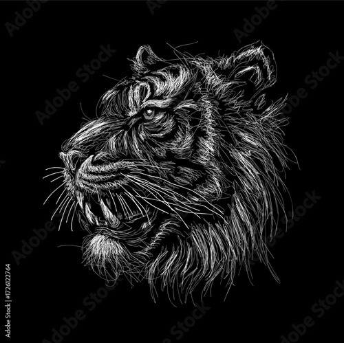 tiger head vector