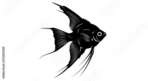 A detailed vector illustration of a black angelfish gracefully swimming against a clean white background, perfect for aquatic-themed designs and educational materials.
