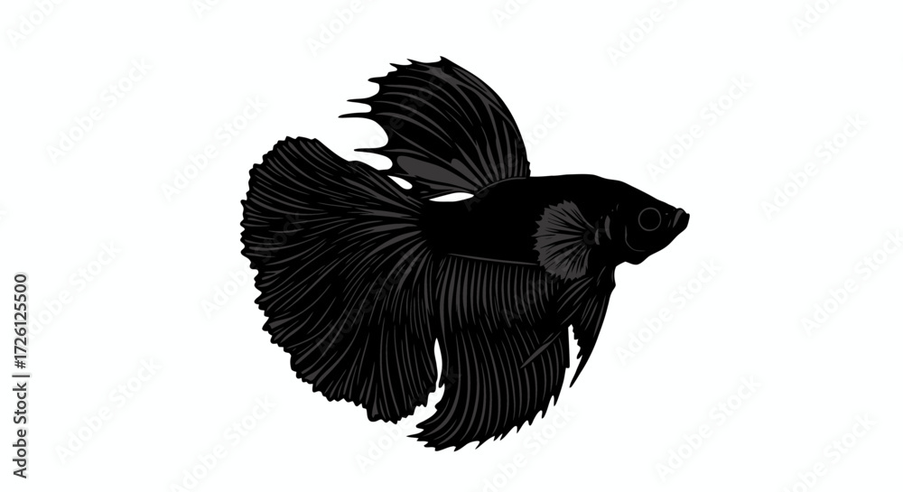 Fototapeta premium A striking black Betta fish, known for its elegant flowing fins, is depicted in a detailed vector illustration, isolated on a clean white background.