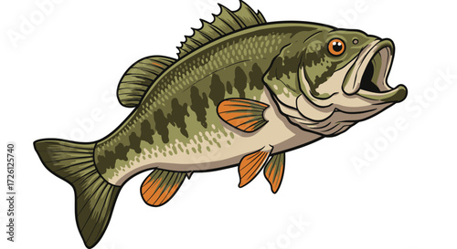 A detailed vector illustration of a largemouth bass fish swimming with its mouth open, perfect for fishing-related designs and aquatic themes.