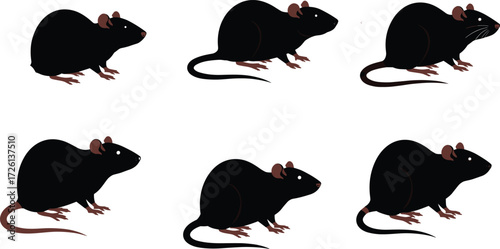 Black rat vector illustration set showing different poses of rodents with tails and ears, isolated silhouette style for creative design projects.