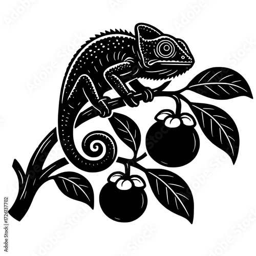 Vector silhouette, chameleon on mangosteen tree
