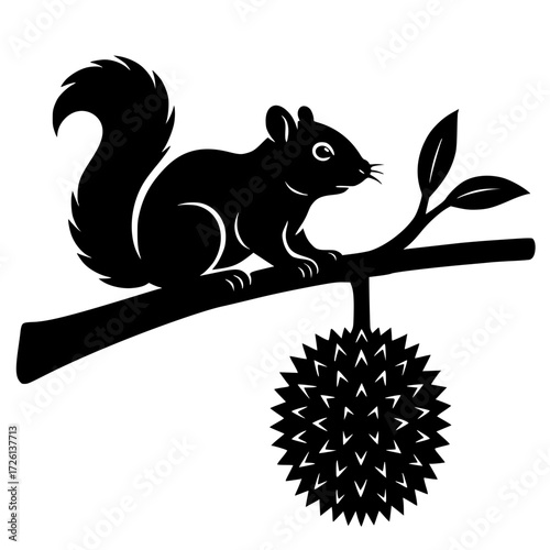 vector silhouette, squirrel on a durian tree