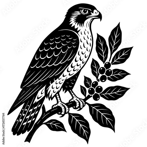 Vector silhouette of a bird on a coffee tree branch