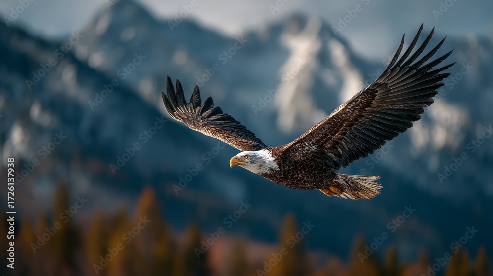 Obraz premium Majestic Eagle in Flight Against a Stunning Mountain Backdrop
