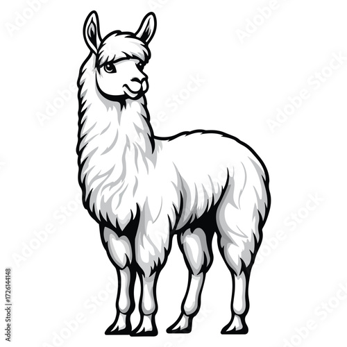  vector illustration a llama