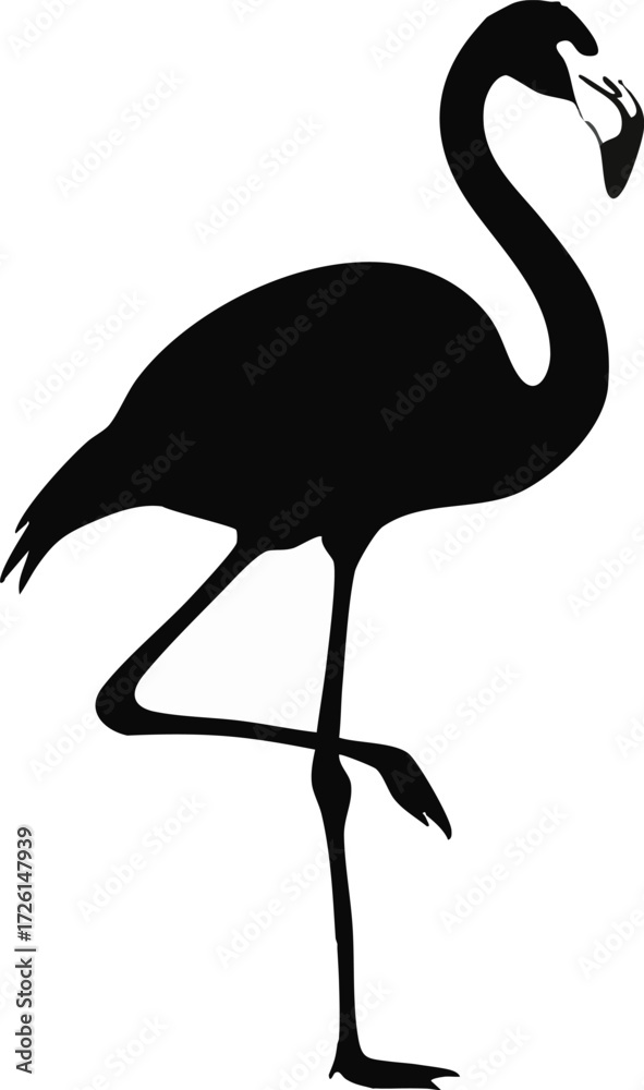 Obraz premium Flamingo Silhouette Vector – Standing Exotic Bird with Long Legs