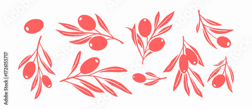 Clip Art of Olive Branch for olive oil logo or olive icon, hand drawn olive branch botanical herbs elements in vector format, floral olive frame and border	
