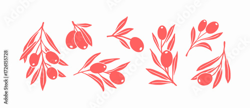 Clip Art of Olive Branch for olive oil logo or olive icon, hand drawn olive branch botanical herbs elements in vector format, floral olive frame and border	

