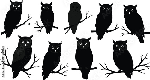 Silhouette owl vector set, night bird illustration on branches, black owl artwork collection, nocturnal wildlife design, decorative animal graphic, forest predator icons isolated