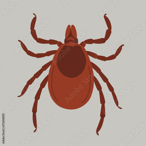 A detailed illustration of a brown tick with eight legs and a segmented body.