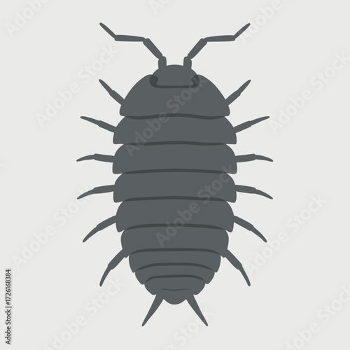 A simple illustration of a dark gray woodlouse insect on a light gray background.