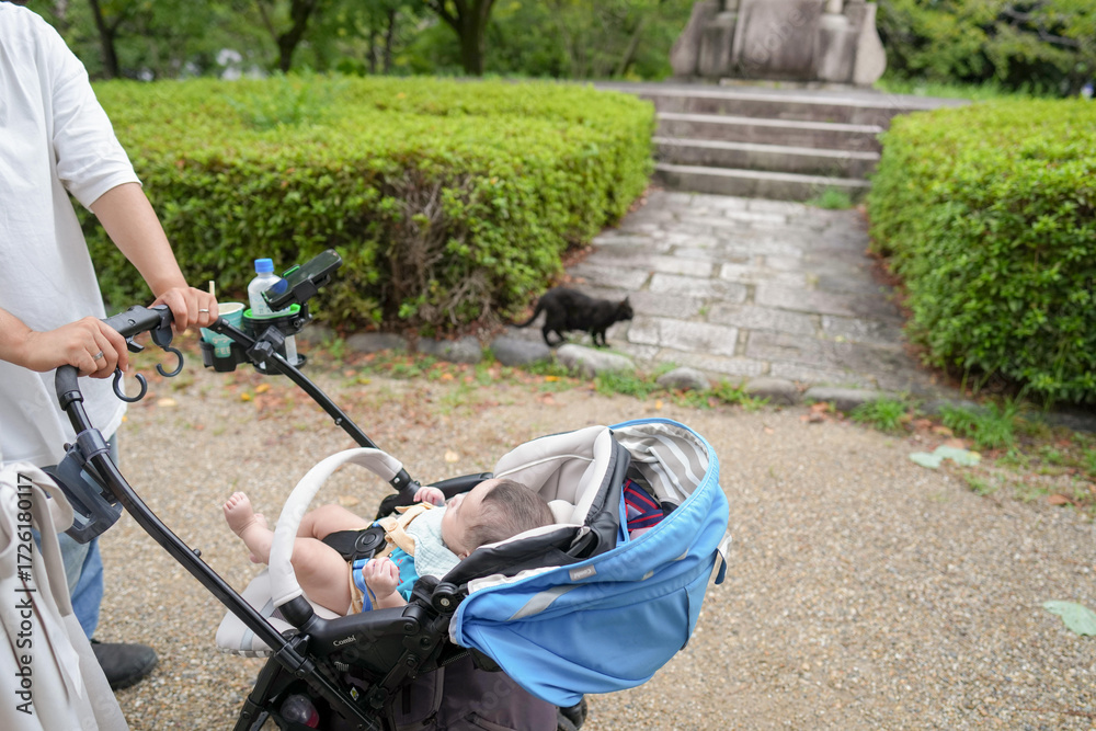 Obraz premium A baby is in a stroller and a cat is walking behind it. The baby is smiling and the cat is looking at the baby