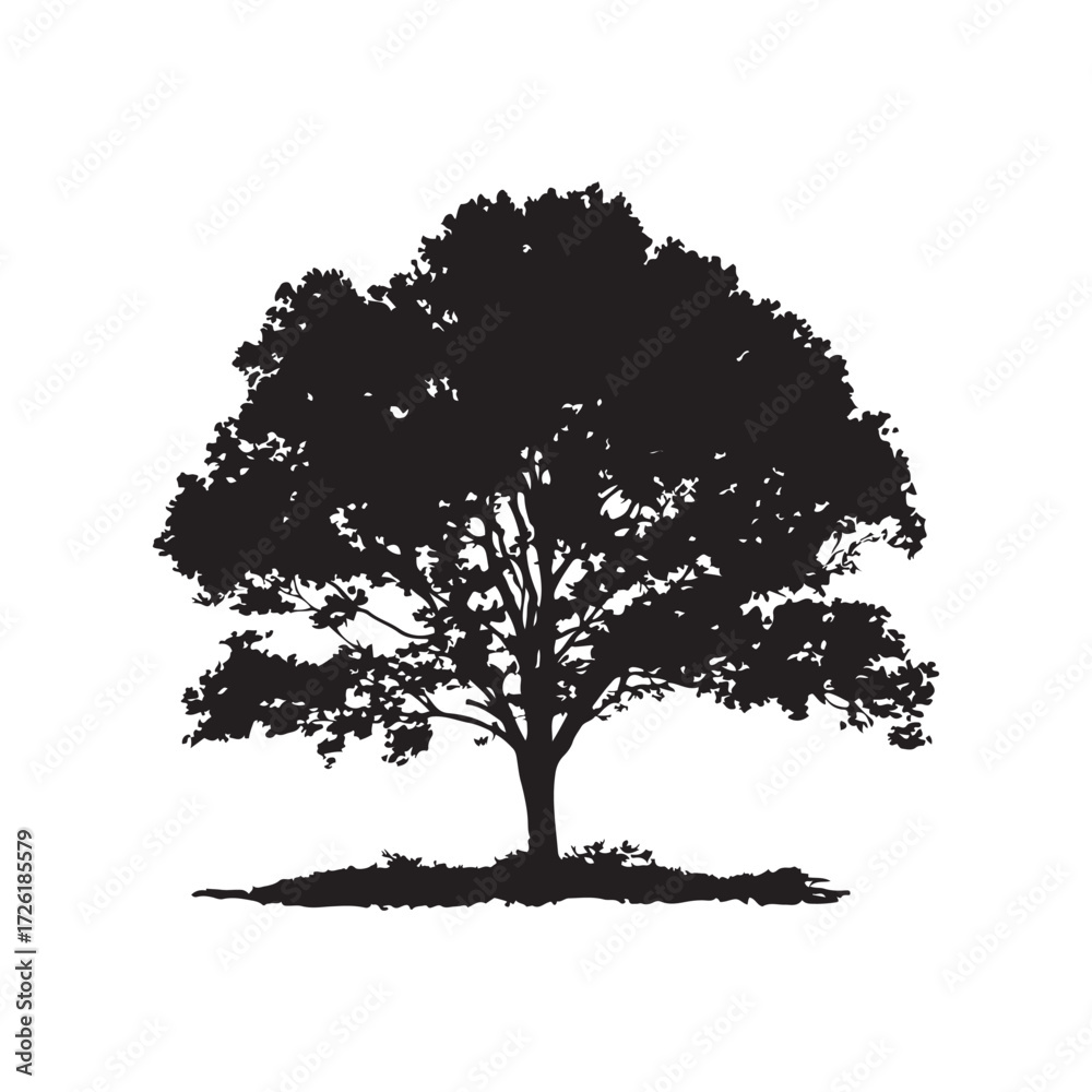 Fototapeta premium Black Silhouette of a Broadleaf Tree Isolated on White Background Image