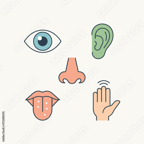 Clean and colorful vector icons illustrating the five fundamental human senses sight, hearing, smell, taste, and touch, representing sensory perception and biological functions
